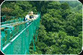 Costa Rica Hanging bridges in Monteverde