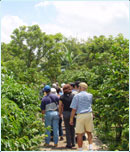 Coffee Plantation Tour in Costa Rica