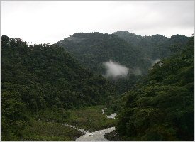 View of the Braulio Carillo National Park in Costa Rica