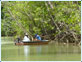 Boating in the Tortuguero canals